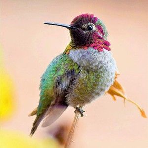 Meet your Posher, Emilee